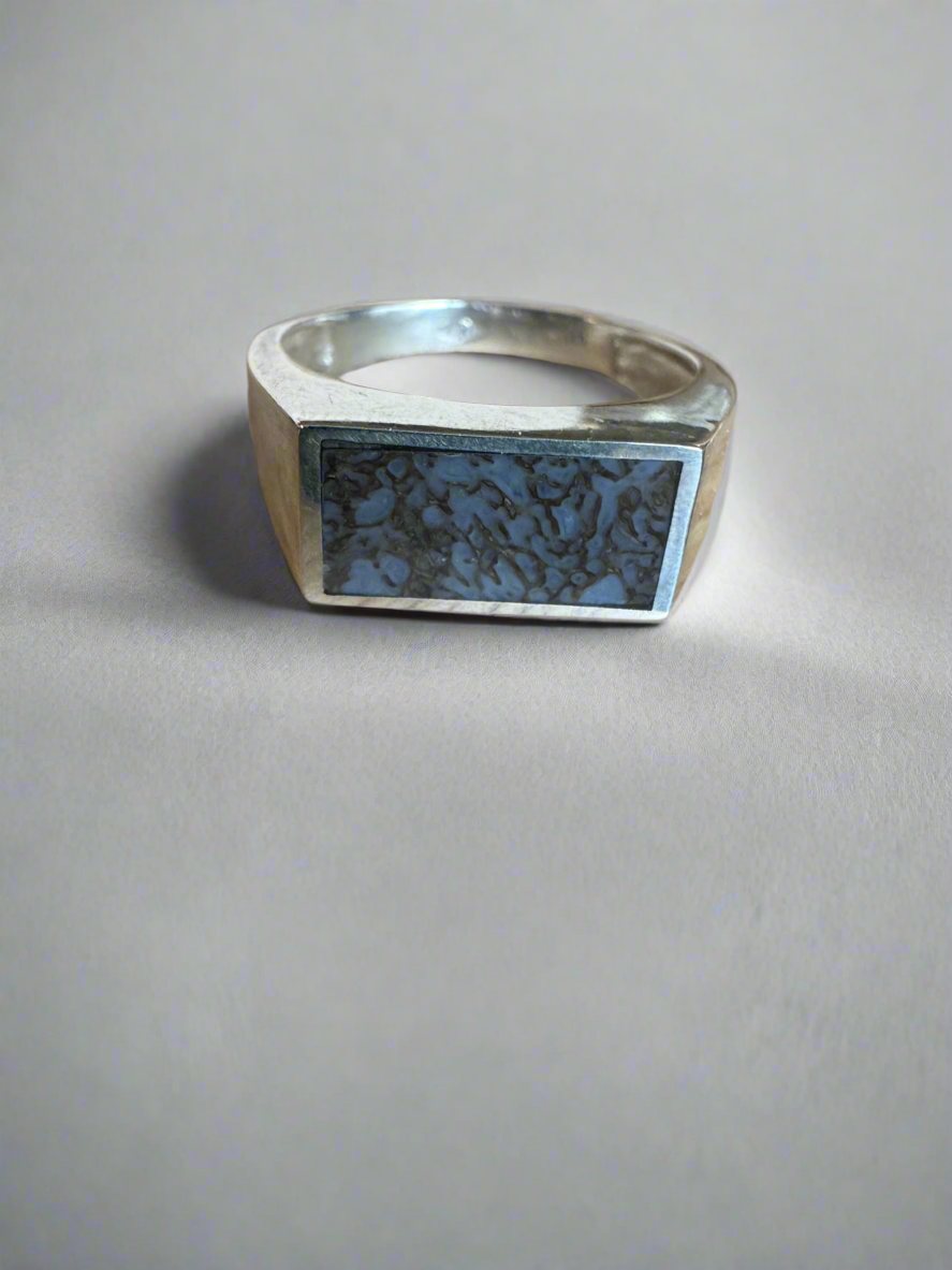 Wide Signet Ring | Silver | Blue Dino Bone| Size 11.5