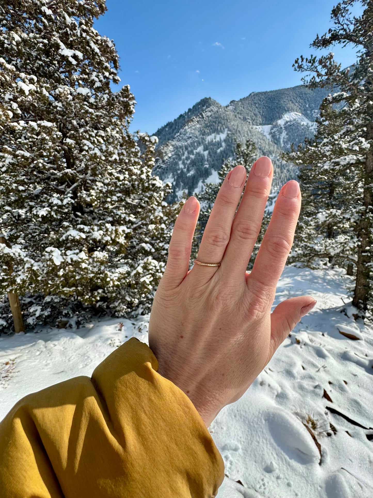 Arête Band | Made to Order