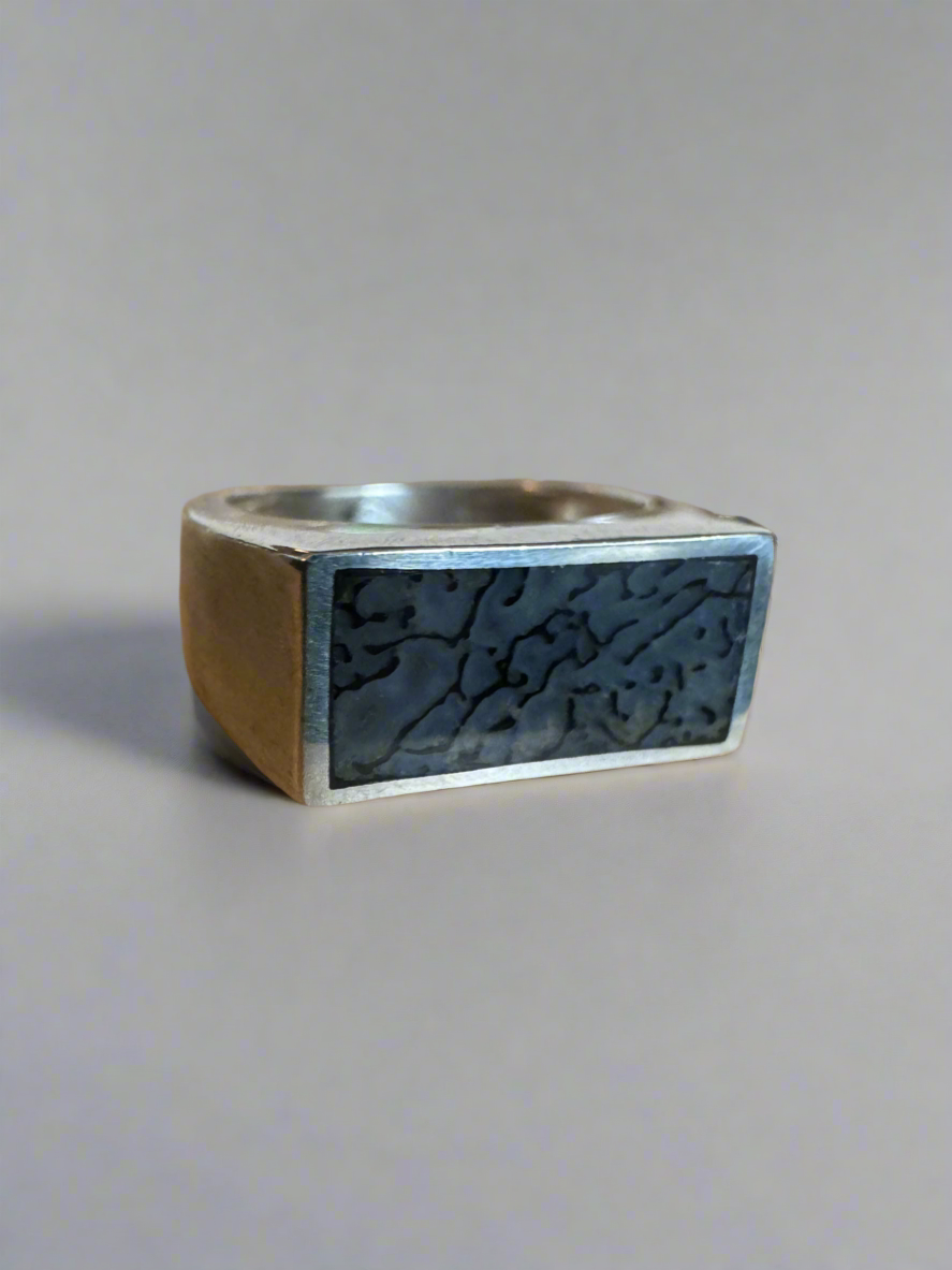 Wide Signet Ring | Silver | Blue Dino Bone| Size 8.5