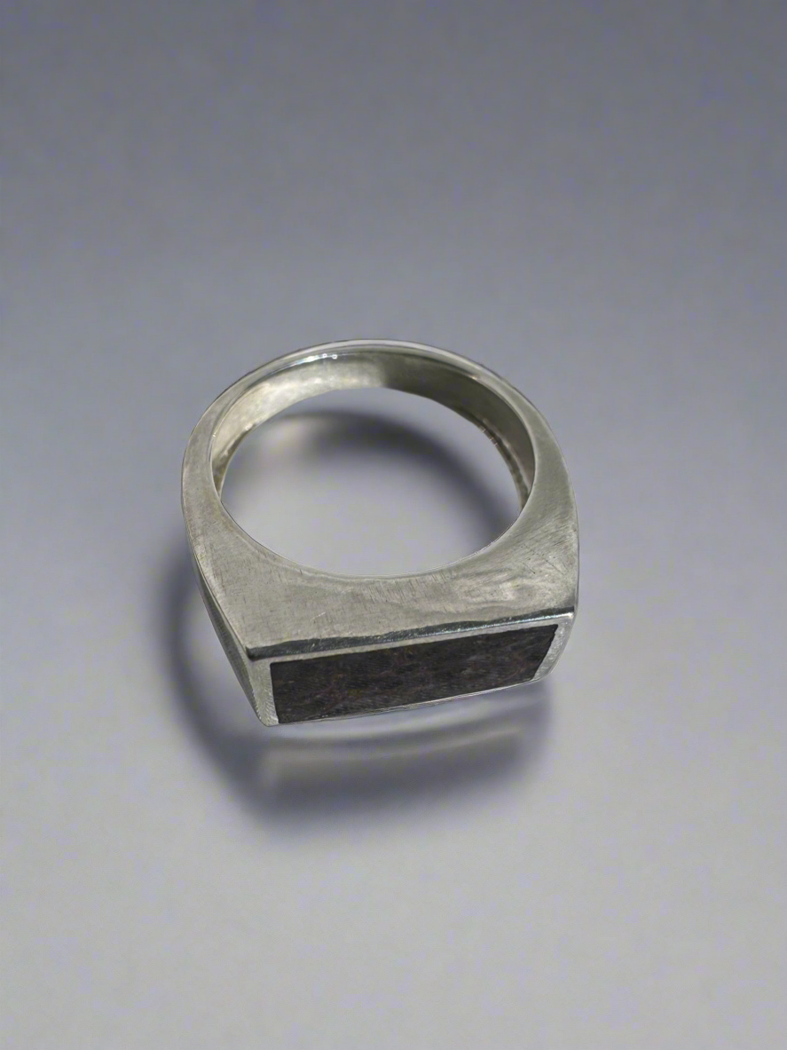 Wide Signet Ring | Silver | Brown Dino Bone| Size 9