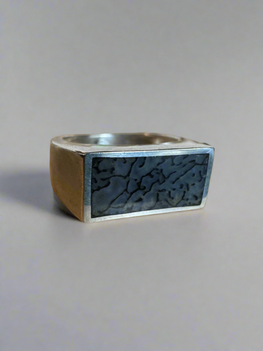 Wide Signet Ring | Silver | Blue Dino Bone| Size 8.5